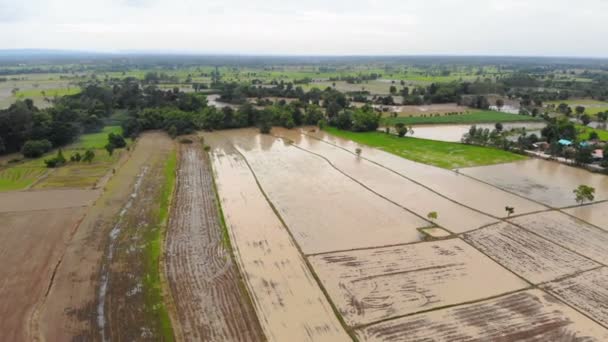 Drone Tiro Vista Aérea Paisaje Escénico Granja Agricultura Campo — Vídeo de stock