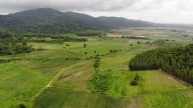 Drone kırsal tarım çiftliğinin doğal manzara havadan görünümü vurdu
