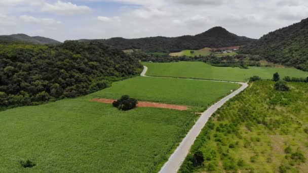 Drohne Schoss Luftaufnahme Malerische Landschaft Der Landwirtschaft Bauernhof Auf Dem — Stockvideo