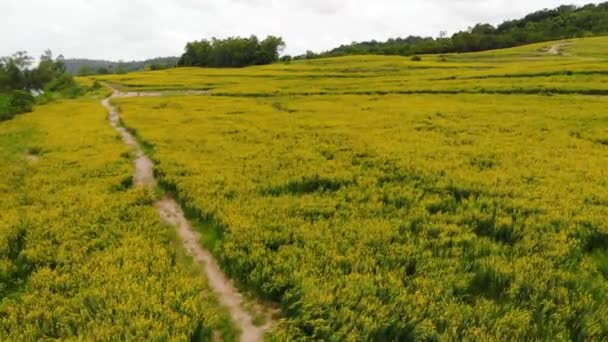 Drone Shot Aerial View Scenic Landscape Agriculture Farm Countryside — Stock Video