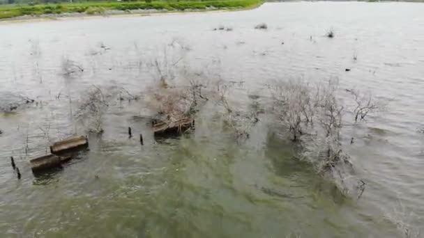 无人机拍摄鸟瞰农村农家风景 — 图库视频影像