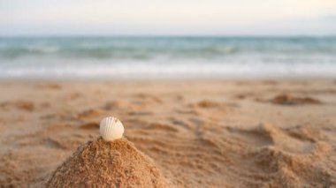 Oyuncaklar ile dalga deniz kum Plajı üzerinde odak alan yaz atmosferi ile sığ derinliği seçin