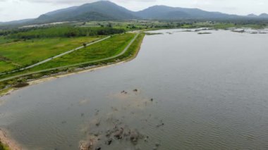 4 k uçağın shot havadan görünümü doğal manzara büyük nehir reservoir baraj ve doğa orman ve dağ kırsal