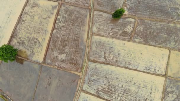 Drone Shot Letecký Pohled Scénický Krajina Zemědělství Farmy Venkově — Stock video