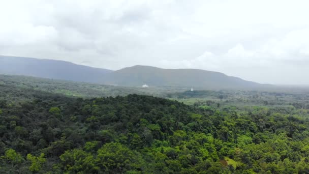 Drone Plano Vista Aérea Paisaje Escénico Granja Agrícola Campo — Vídeos de Stock