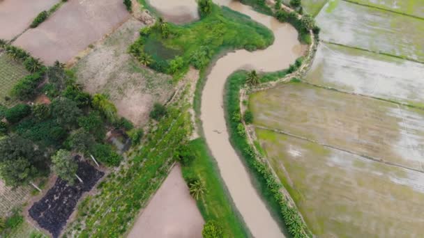 无人驾驶飞机在农村和农田中的河景风景景观 — 图库视频影像