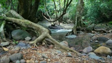 4 k doğal manzara doğa ve şelaleler taze streams 