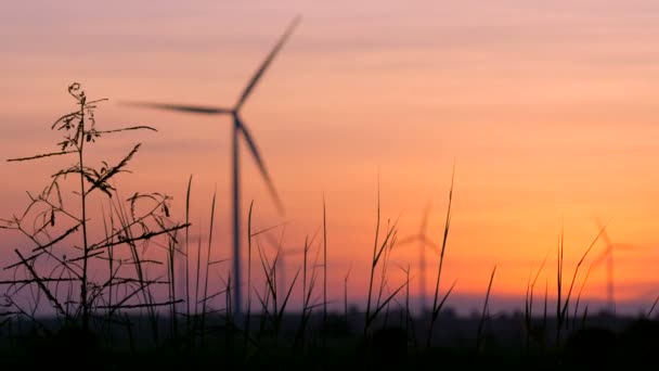 风力涡轮机剪影在日落生态学能量概念为电动制造商备用清洁力量形式风技术 — 图库视频影像