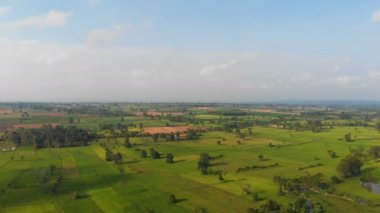 4K Drone kırsal bölgedeki tarım çiftliğinin hava manzaralı manzarasını çekti