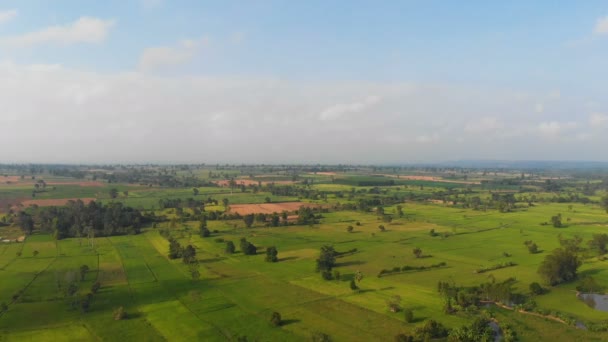 Drone Plano Vista Aérea Paisaje Escénico Granja Agrícola Campo — Vídeos de Stock