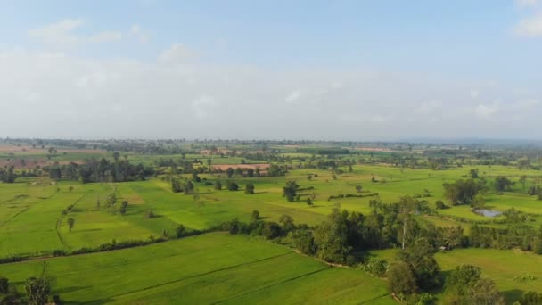 Drone Tiro Vista Aérea Paisagem Cênica Agricultura Fazenda Campo — Vídeo de Stock