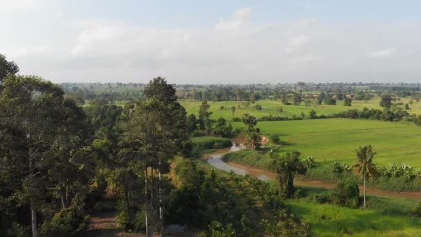 Drone Plano Vista Aérea Paisaje Escénico Granja Agrícola Campo — Vídeos de Stock