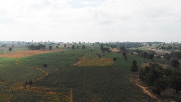 4K无人机拍摄的农村农场风景景观 — 图库视频影像