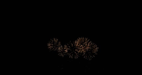 Festeggiamenti Fuochi Artificio Esplodono Brillano Sfondo Scuro Con Scuro Grano — Video Stock