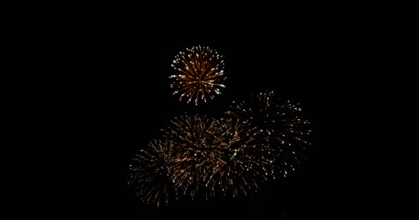 庆祝烟花爆炸和发光在黑暗的背景与黑暗和粮食处理 — 图库视频影像