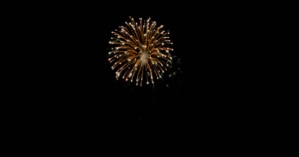 Fogos Artifício Celebração Explodindo Brilhando Sobre Fundo Escuro Com Escuro — Vídeo de Stock