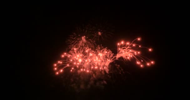 庆祝烟花爆炸和发光在黑暗的背景与黑暗和粮食处理 — 图库视频影像