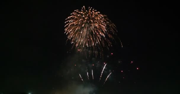 お祝い花火爆発と暗いと暗い背景と処理粒以上の輝き — ストック動画