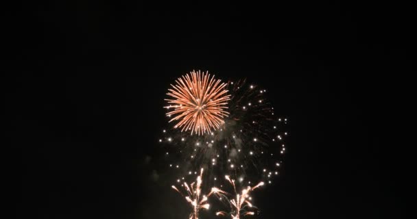 Festeggiamenti Fuochi Artificio Esplodono Brillano Sfondo Scuro Con Scuro Grano — Video Stock