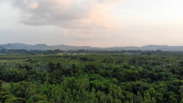 Drohne Schoss Luftaufnahme Landschaftlich Reizvolle Landschaft Von Landwirtschaftlichem Betrieb Auf — Stockvideo