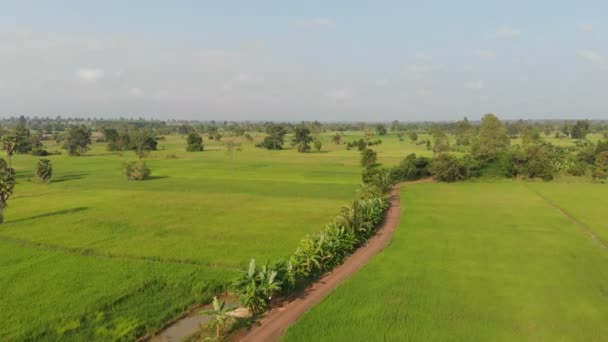 Drone Shot Vista Aerea Paesaggio Panoramico Della Fattoria Agricola Campagna — Video Stock