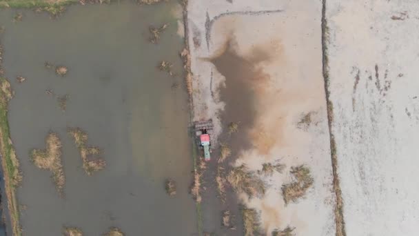 Luchtfoto Die Trekker Neergeschoten Drone Een Grond Van Rijst Veld — Stockvideo