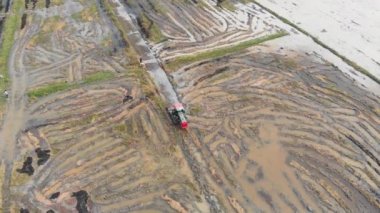 Traktör atış havadan görünümü bir zemin pirinç alan grubunun kürekle robot