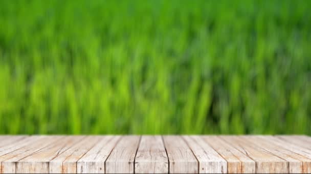 木地板对自然绿地的抽象背景 — 图库视频影像