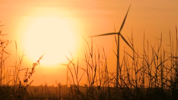 Silhouette Della Turbina Eolica Sopra Tramonto Concetto Energia Ecologia Produttore — Video Stock