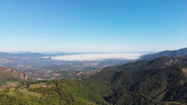 Drone Vista Aérea Vista Panorámica Paisaje Campo Naturaleza Montaña Bosque — Vídeos de Stock