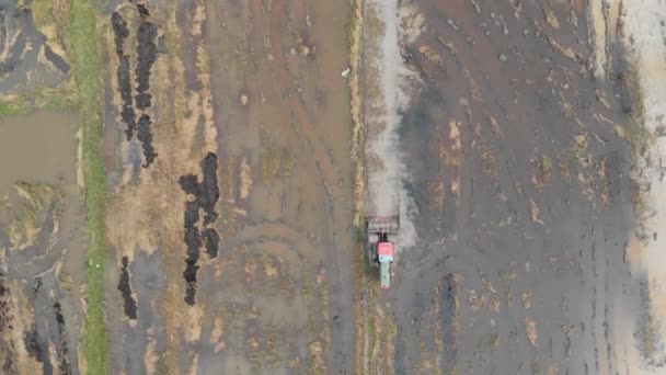 Luchtfoto Die Trekker Neergeschoten Drone Een Grond Van Rijst Veld — Stockvideo