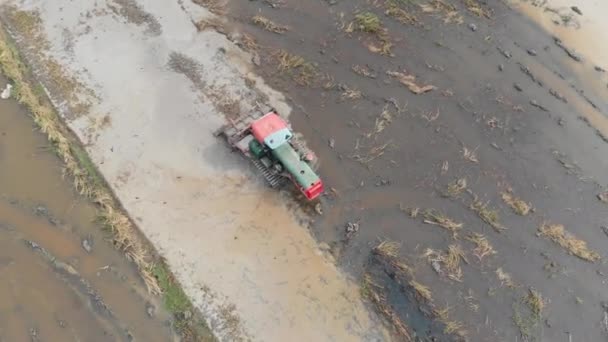 Drony Zastřelil Letecký Pohled Traktoru Přehazování Země Rýže Pole Farmy — Stock video