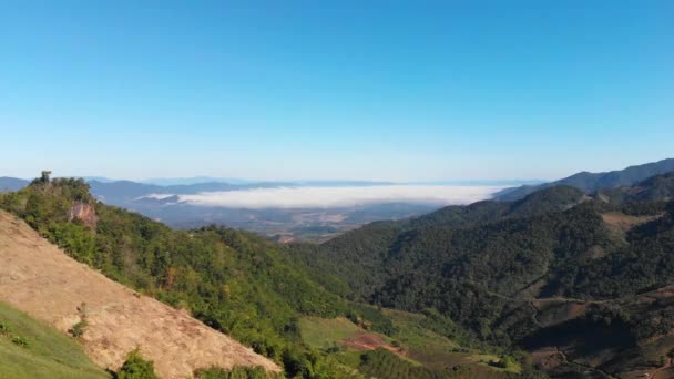 Drone Shot Vue Aérienne Paysage Pittoresque Campagne Nature Montagne Forêt — Video