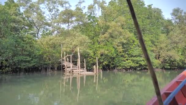 Bosque Manglares Estuario Del Río Medio Ambiente Conservación Naturaleza Marina — Vídeos de Stock