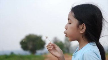 Çayır çiçek mutluluk ile kuru bir rüzgar esiyor şirin Asyalı küçük kız