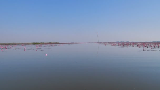 Bootsansicht Segeln Und Bewegen Großen Fluss — Stockvideo