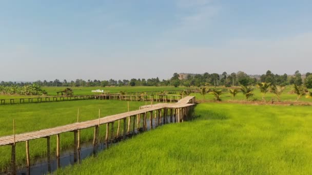 Drone Shot Aerial View Scenic Landscape Vitage Old Bamboo Bridge — Stock Video