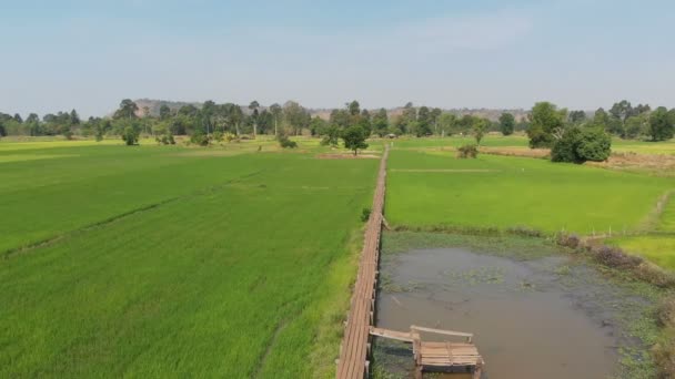 Drone Disparó Vista Aérea Paisaje Escénico Vitage Viejo Puente Bambú — Vídeo de stock