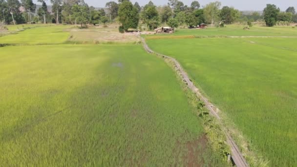 Drone Shot Flygfoto Natursköna Landskapet Vitage Och Gamla Bambu Bron — Stockvideo