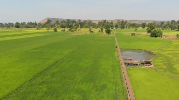 Drone Strzał Ptaka Walory Krajobrazowe Vitage Stary Most Bambusa Świeżym — Wideo stockowe