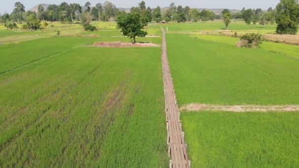 Drone Tiro Vista Aérea Paisagem Cênica Vitage Ponte Bambu Velho — Vídeo de Stock
