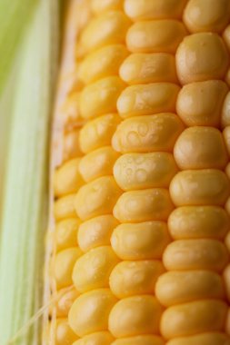 Shot taze olgun ve soyulmuş tatlı mısır yüksek vitamin natu kadar kapatın