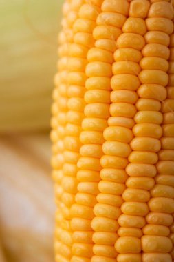 Shot taze olgun ve soyulmuş tatlı mısır su damla h ile kapatmak