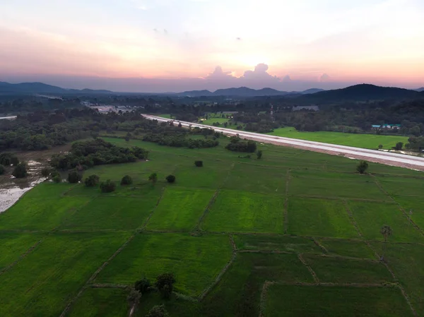 Drone shot Veduta aerea paesaggio panoramico dell'agricoltura rurale ric — Foto Stock