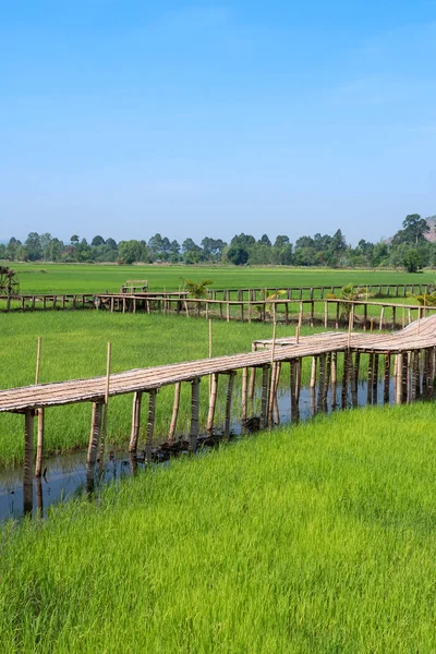 Ponte in legno vintage nella risaia in campagna — Foto Stock