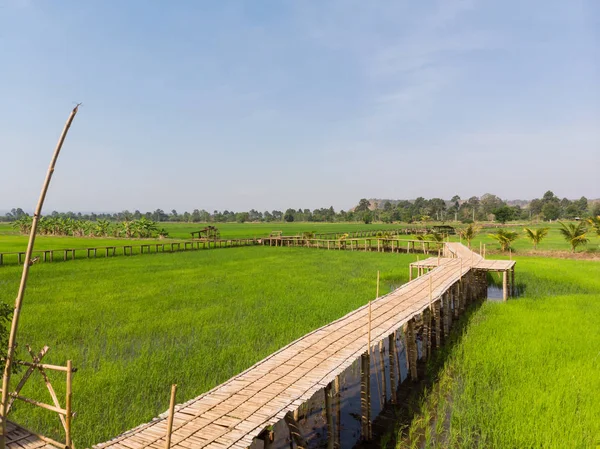 Vintage wooden bridge in the rice field at the countryside — Stock Photo, Image