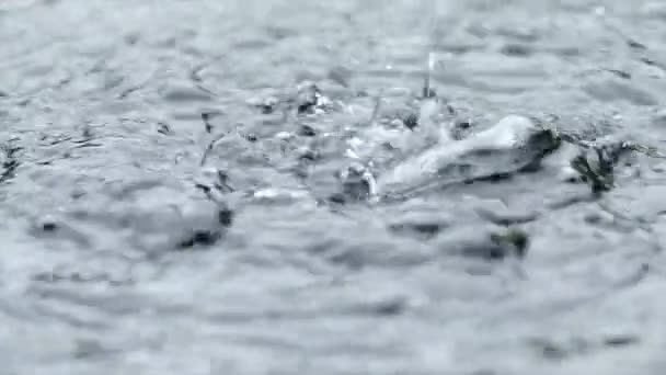 Gota Lluvia Cámara Lenta Sobre Agua Dulce Natural — Vídeo de stock