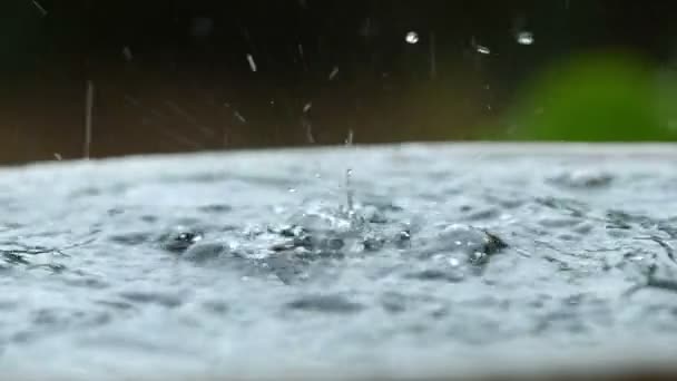 慢速运动雨水落在淡水和自然水 — 图库视频影像