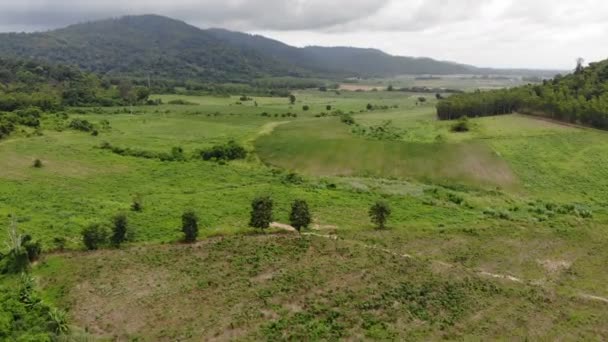 Drone Shot Vista Aerea Paesaggio Panoramico Della Fattoria Agricola Campagna — Video Stock