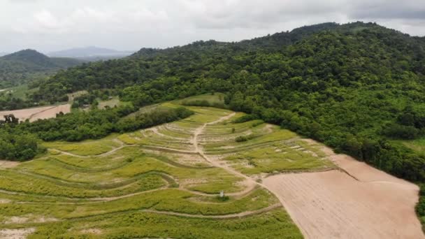 Drone Tiro Vista Aérea Paisagem Cênica Agricultura Fazenda Campo — Vídeo de Stock